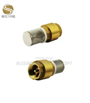 1" Brass Foot Valve