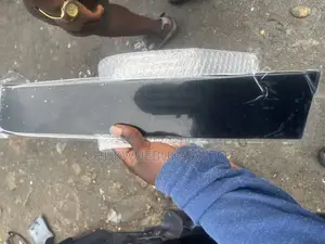 Door Chrome Rx350 2020