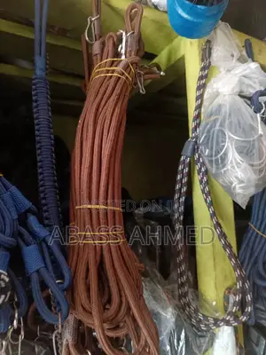 Security Lanyards