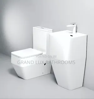 Luxury Executive Toilet and Basin Combo