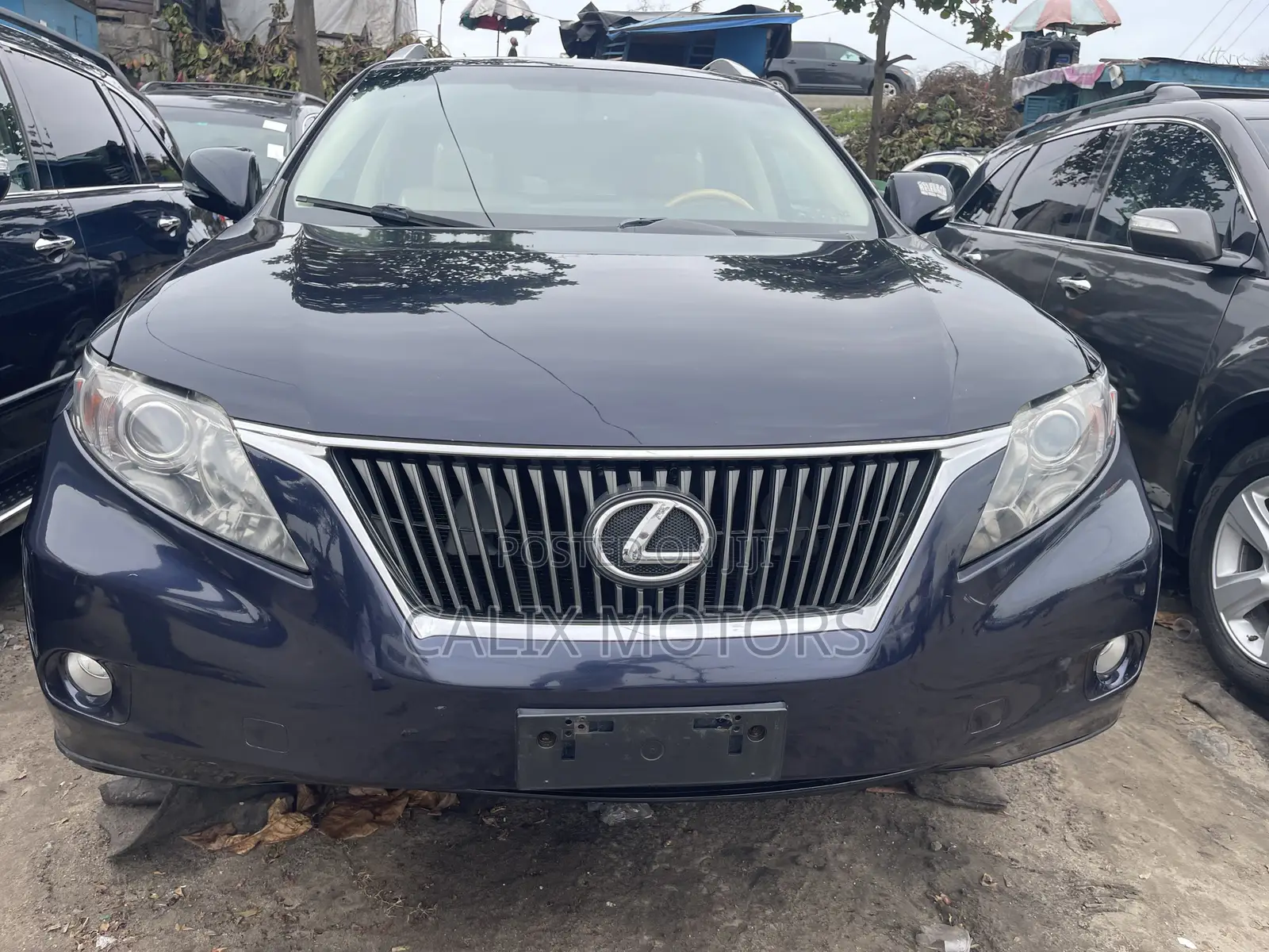 Lexus RX 2011 Blue