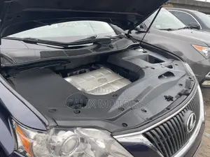 Lexus RX 2011 Blue