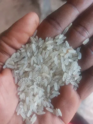 Abakaliki High Quality Rice