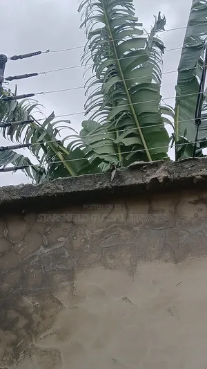 Affordable Electric Fence Installation | Complete Security Solutions