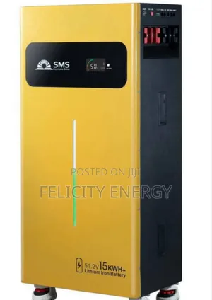 SMS Lithium Battery 15kwh 51.2v (Brand New)