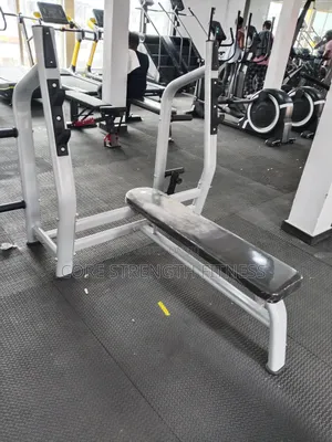 Commercial Weight Lifting Bench With Barbell Storage and T-Bar Row