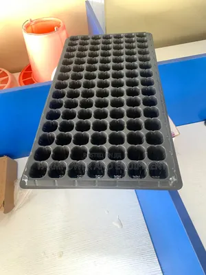 Seed Trays
