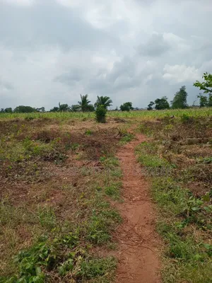 About 2000 Acres of Farmland for Sale