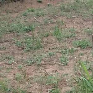 Full Plot of Land at Baruwa