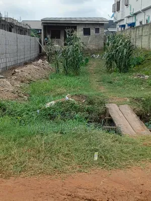 30ft by 162ft (Plot ) in an Estate Rd Iguando Near Ikotun Alimosho
