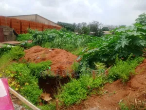 30ft by 162ft (Plot ) in an Estate Rd Iguando Near Ikotun Alimosho