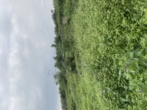23 Acres on Lagos/ Abeokuta Expway, Lagos