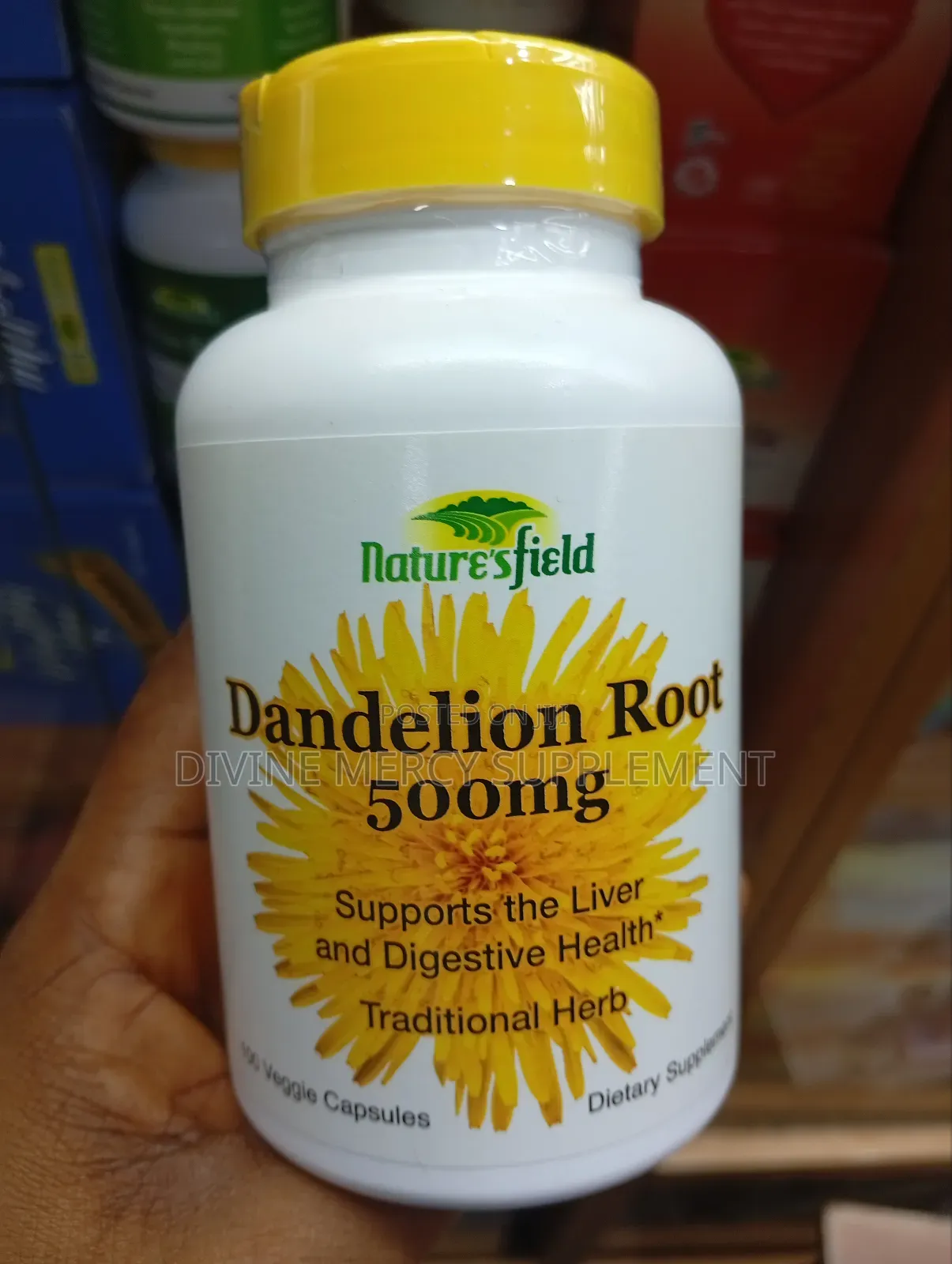 Dandelion Root 500mg