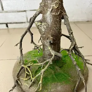 120cm 150cm Lifelike Artificial Fig Trees for Home Office