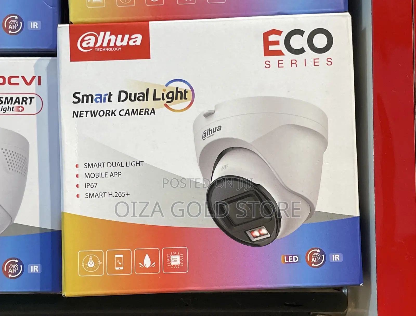 Dual Light Network Camera