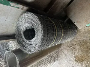 Galvanized Wire Mesh
