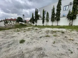 Certificate of Occupancy