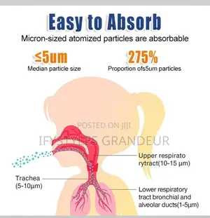 Nebulizer Suitable For Both Kids And Adults