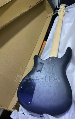 Ibanez SDGR Active Bass Guitar