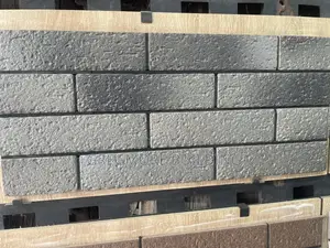 Porcelain Bricks