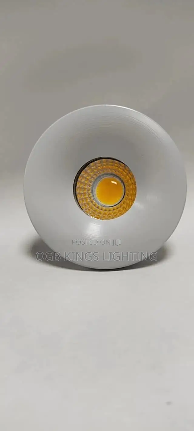Small Recessed Ceiling Led Spot Light Cob 3w 110v 220v Driver