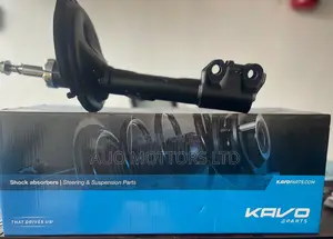 Kavo Shock Absorbers