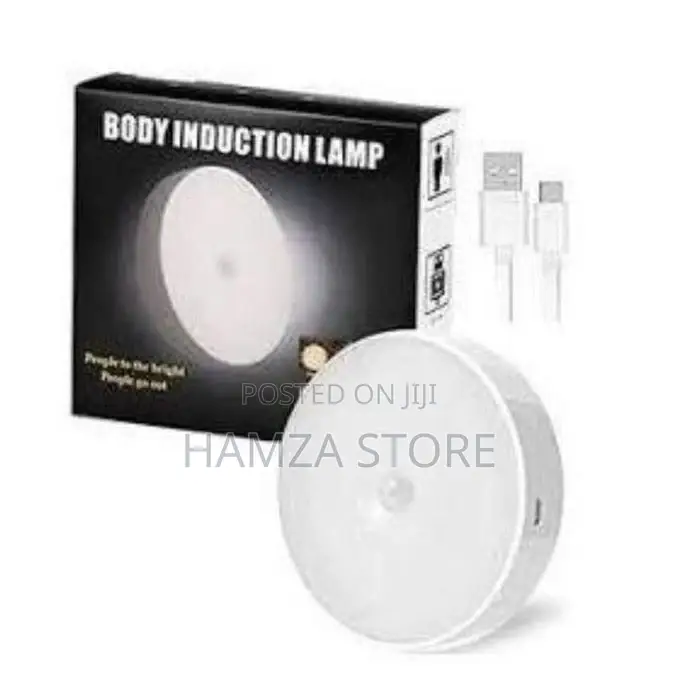 Body Induction Sensor Light