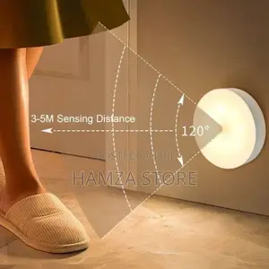Body Induction Sensor Light