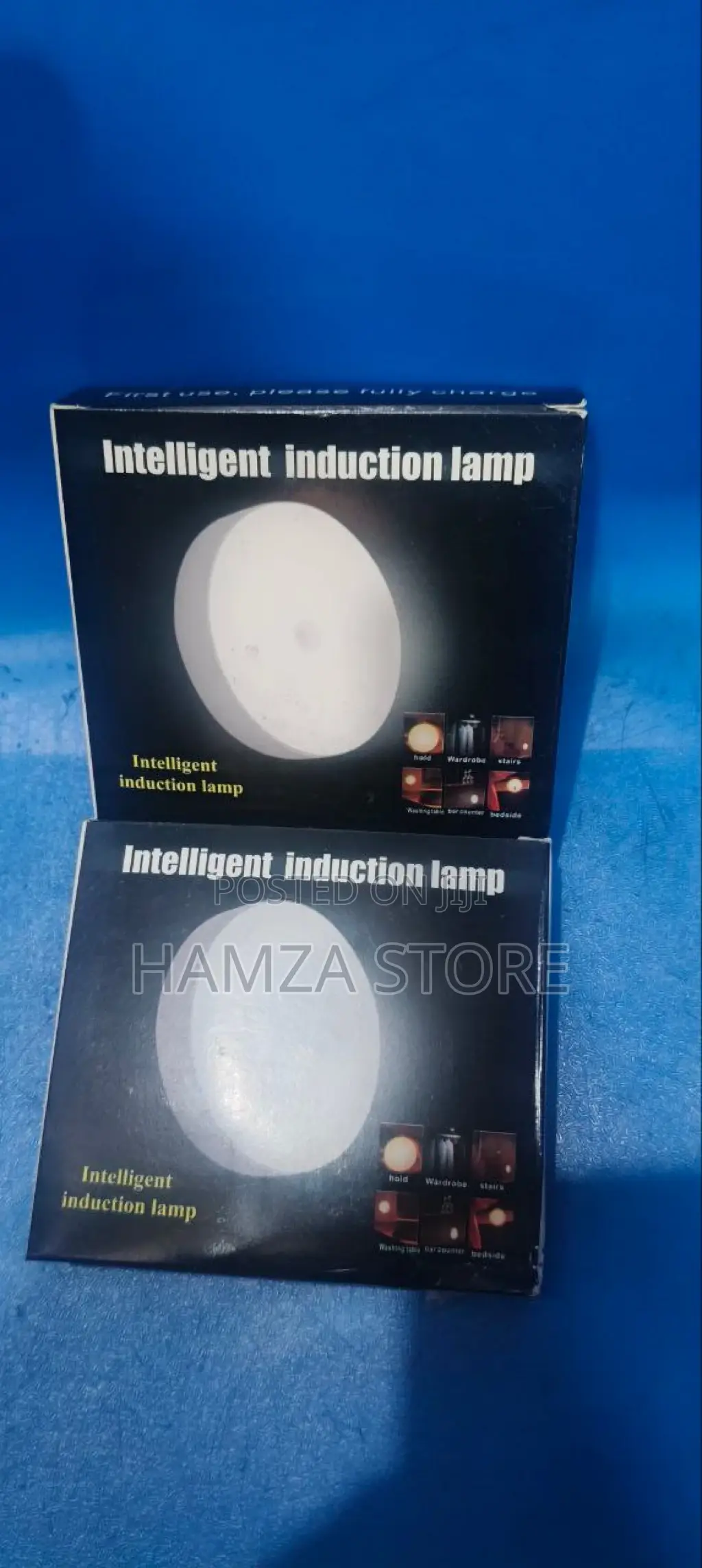 Body Induction Sensor Light