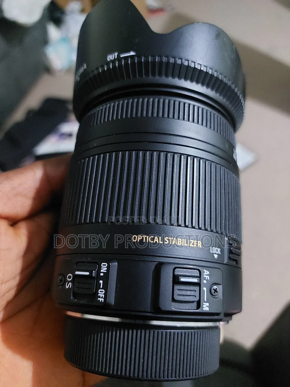 Sigma 18-250mm Nikon Lens