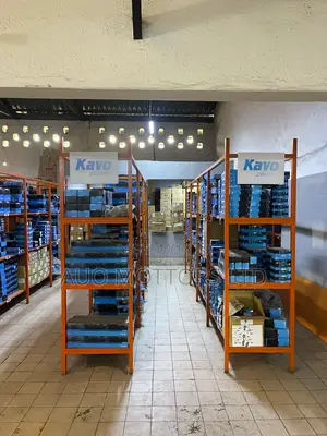 Kavo Shock Absorbers