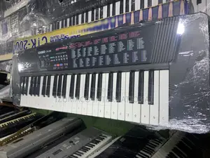 Durable Portable Casio CTK 200