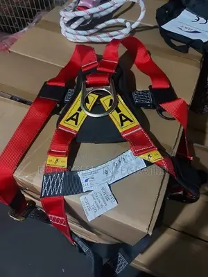 Body Harness