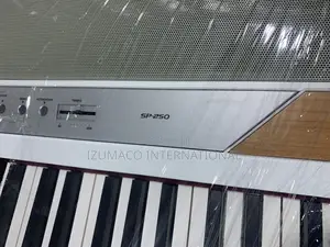 Durable Portable Korg Sp-250