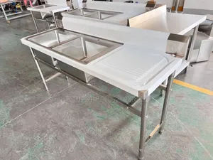 Double Sink With Side and Under