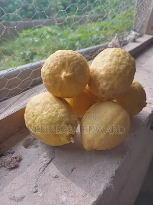Farm Fresh Yellow Lemon