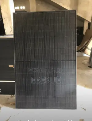 Longi Solar Panel