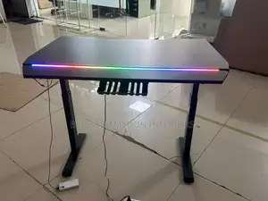 Electric Adjustable Office Desk With RGB Light