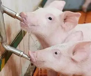 Pig Nipple Drinker Available at Farmpower Nigeria