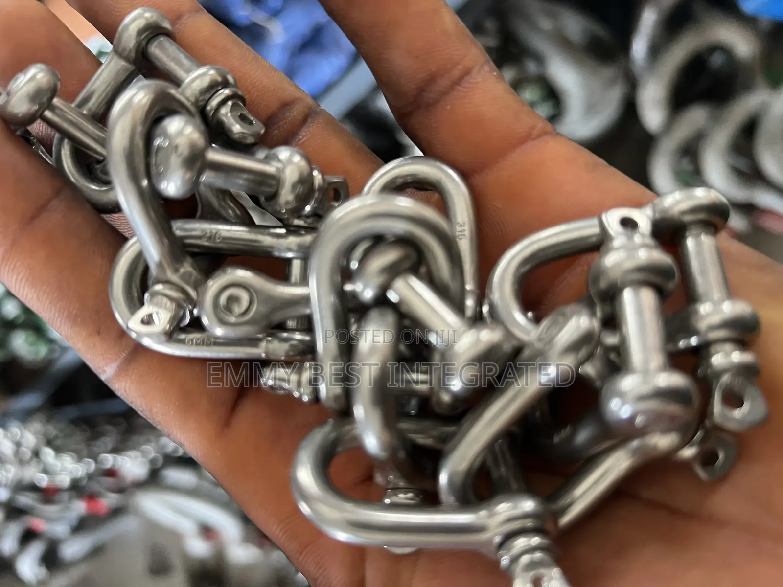 Stainless Steel D Shackles