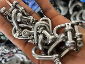 Stainless Steel D Shackles