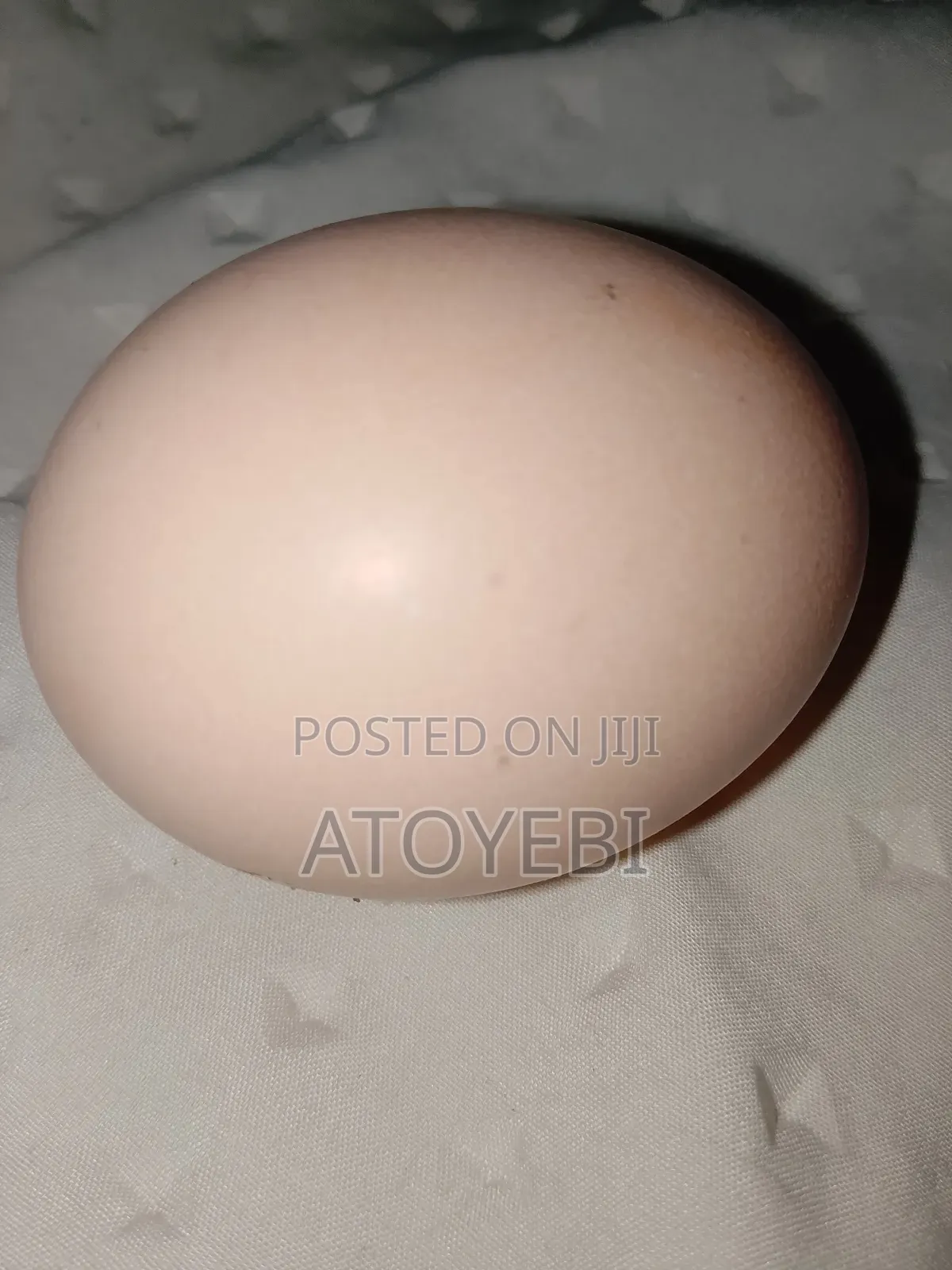 Purely Organic Eggs