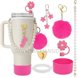 Stanley Cup Accessories