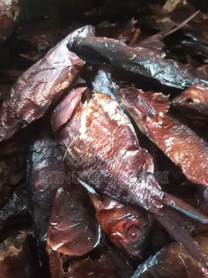 Dried Bonga Fish