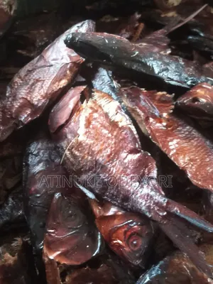 Dried Bonga Fish