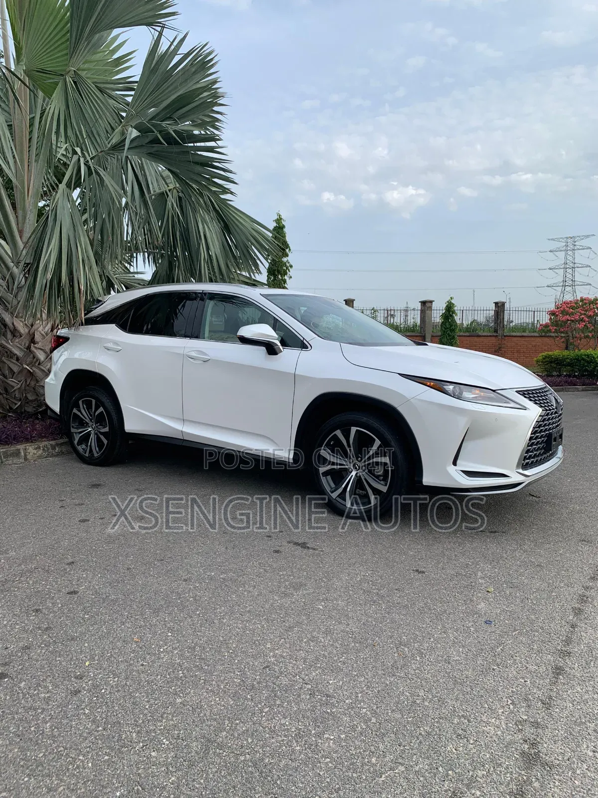 Lexus RX 2022 White
