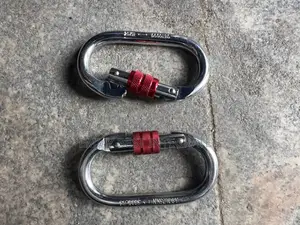 Carabiners Hook