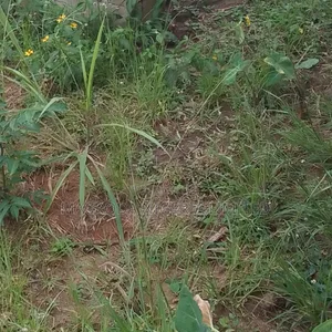 800sqm of Land