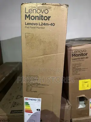 Lenovo L24m-40 Flat Panel Monitor