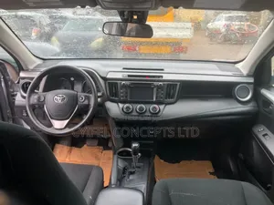 Toyota RAV4 LE 4dr SUV (2.5L 4cyl 6A) 2018 Gray